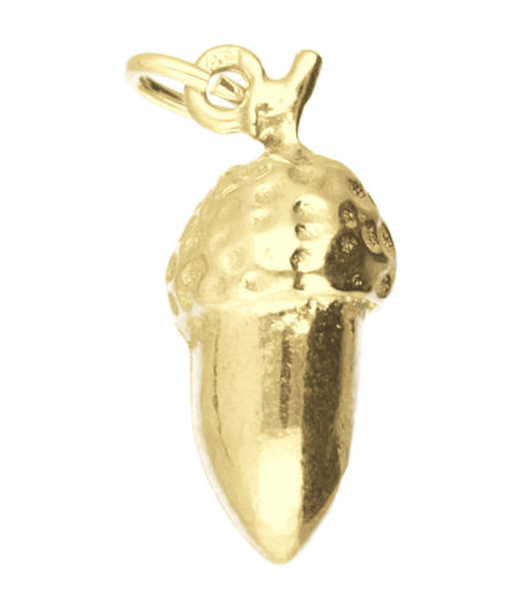 Gouden Eikel middel kettinghanger