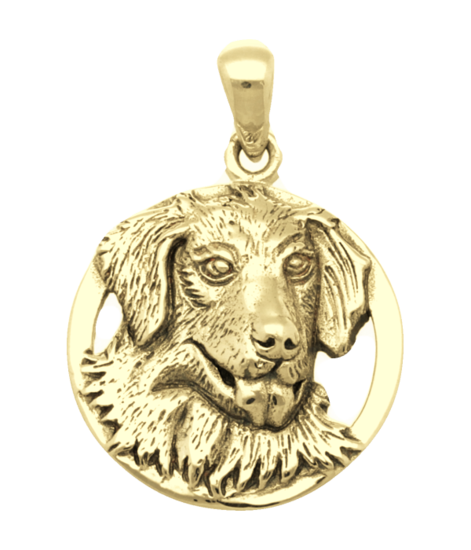 Gouden Golden retriever in ring kettinghanger