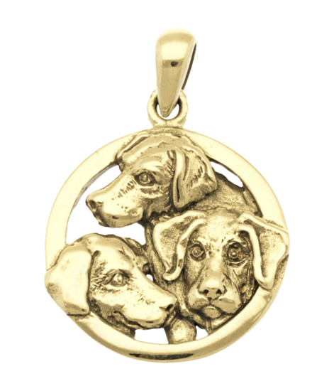 Gouden Labrador retriever in rond kettinghanger