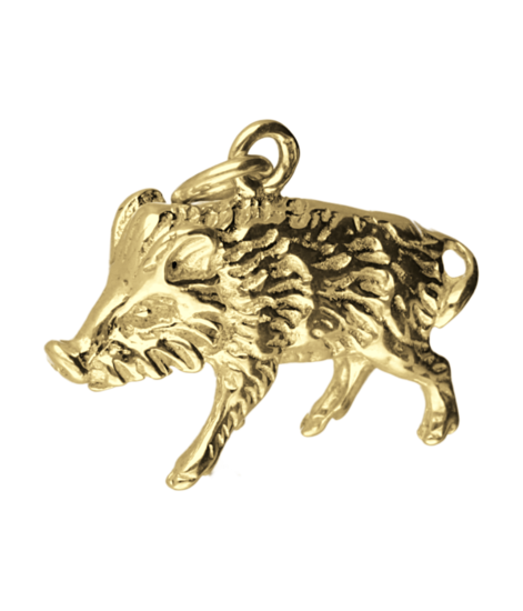 Gouden Zwijn groot kettinghanger