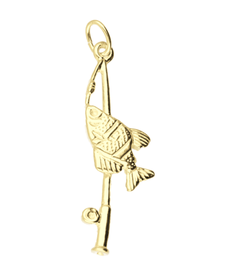 Gouden Hengel met vis ketting hanger
