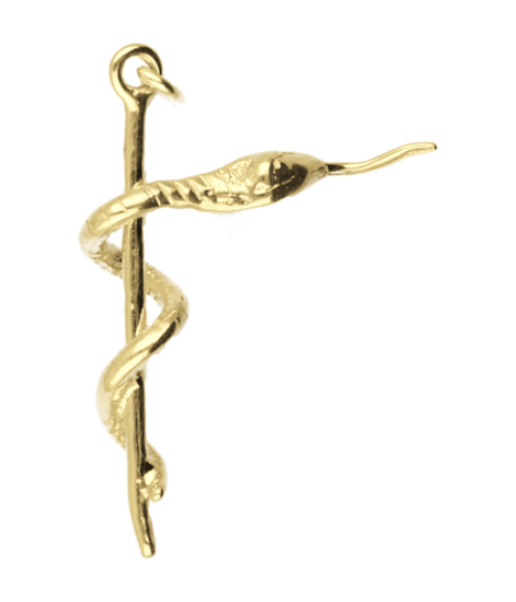Gouden Esculaap ketting hanger