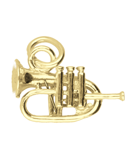 Gouden Bugel ketting hanger