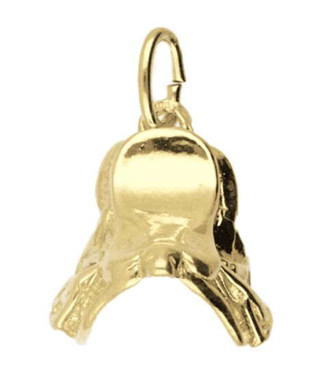 Gouden Zadel klein ketting hanger