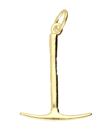 Gouden Pikhouweel ketting hanger