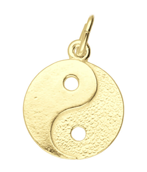 Gouden Yin Yang klein ketting hanger