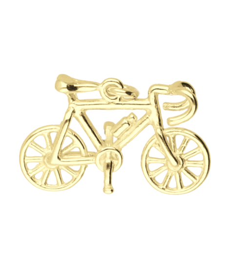 Gouden Racefiets klein met bidon ketting hanger