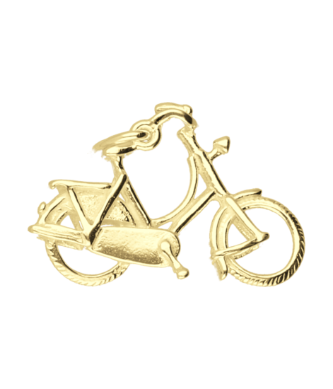 Gouden Damesfiets ketting hanger