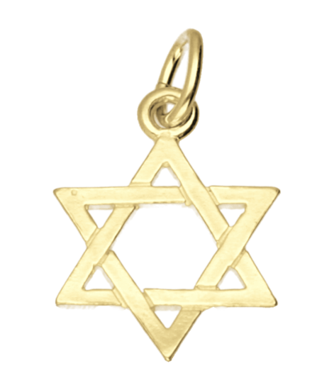 Gouden Davidster klein ketting hanger