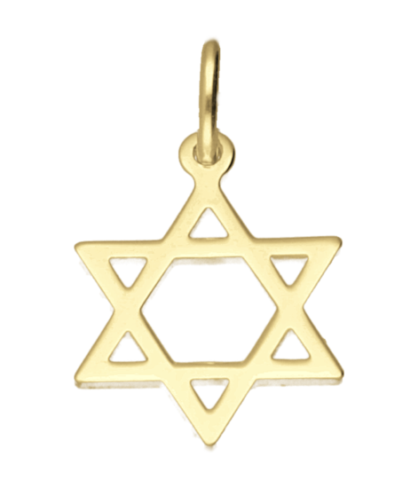 Gouden Davidster ketting hanger