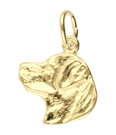Gouden Rottweiler kop ketting hanger