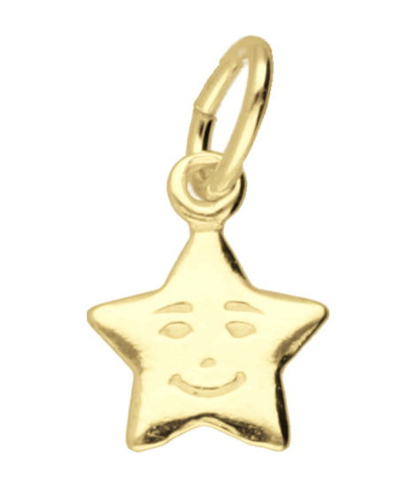 Gouden Ster klein ketting hanger