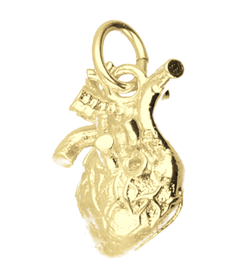 Gouden Hart anatomie kettinghanger