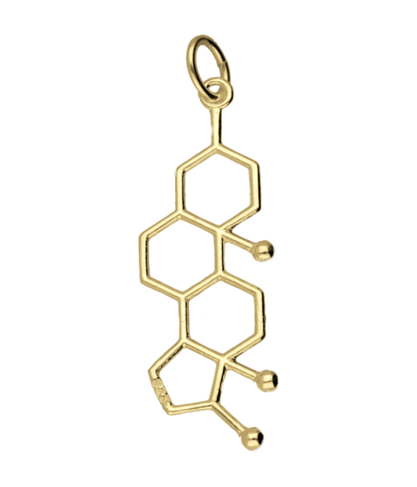 Gouden Testosteron scheikundige molecuul formule kettinghanger