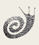 Silver Snail XL hammered brooch clothing pin