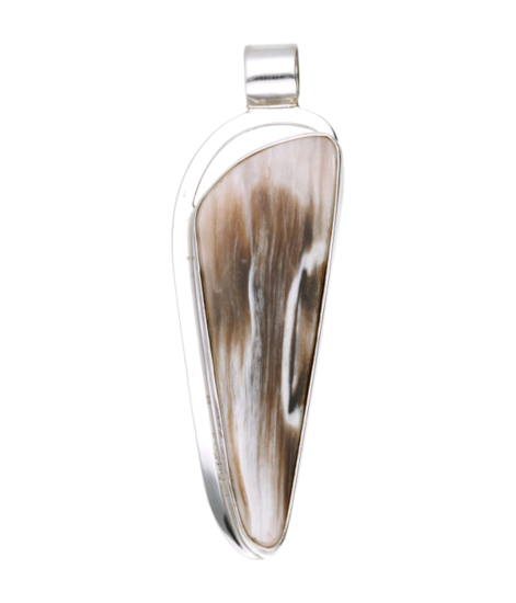 Silver Petrified Wood Point XL Necklace Pendant