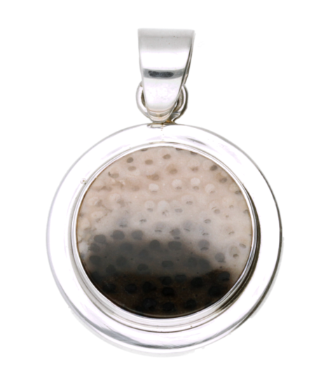 Silver Petrified Palmwood Round Large Necklace Pendant