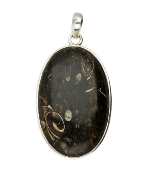 Silver Fossil oval large necklace pendant