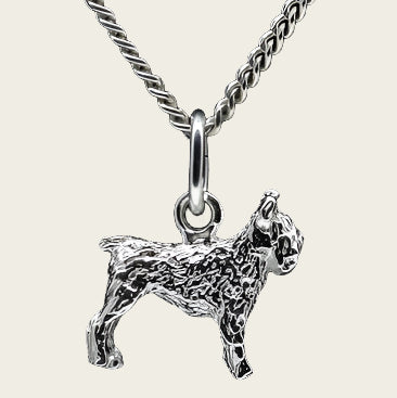 Zilveren Bouvier ketting hanger - oren ongecoupeerd - klein
