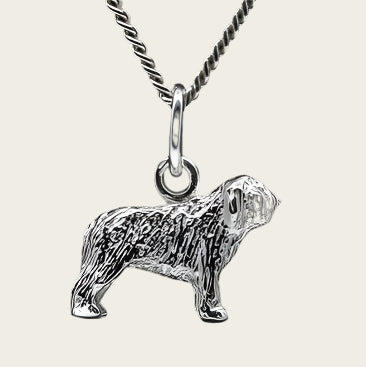 Zilveren Perro de Aguas ketting hanger - klein