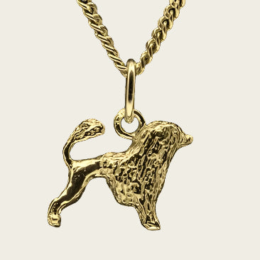 Gouden Cao de aqua ketting hanger - klein