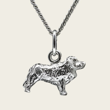 Zilveren New foundlander ketting hanger - klein