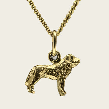 Gouden Mastin espanol ketting hanger - klein
