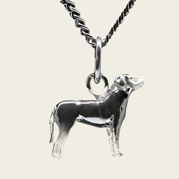 Zilveren Zwitserse sennenhond ketting hanger - klein