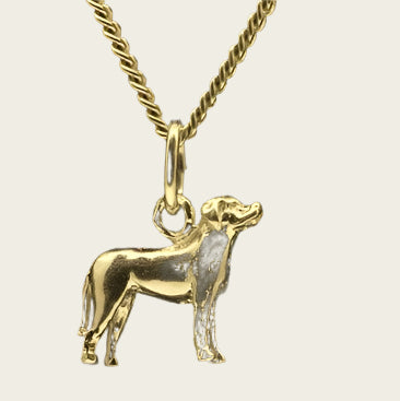 Gouden Duitse Pinscher oren ongecoupeerd ketting hanger - klein