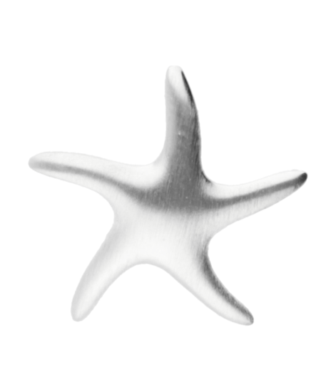 Zilveren Zeester mat klein kettinghanger