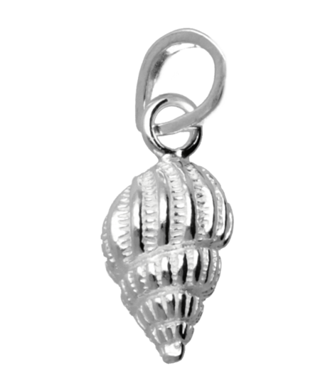 Zilveren Slakkenhuis geribbeld kettinghanger