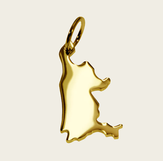 Golden Province of North Holland necklace pendant