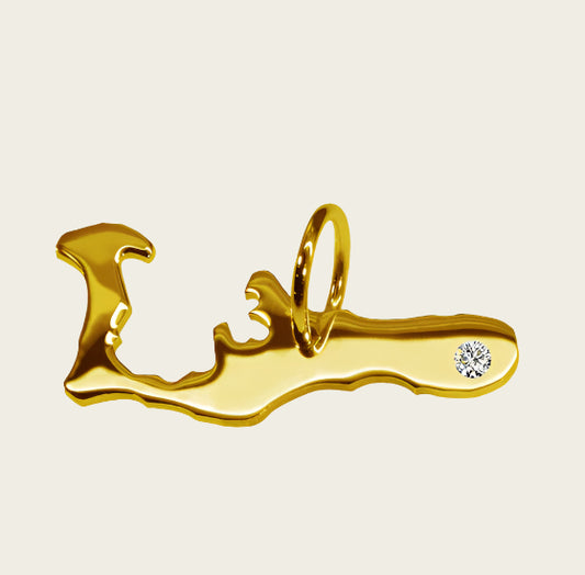 Gouden Landkaart Kaaimaneilanden ketting hanger
