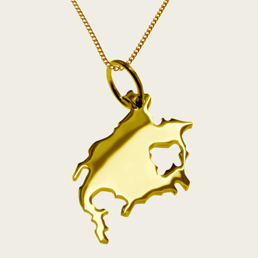 Gouden Landkaart Noord Amerika ketting hanger