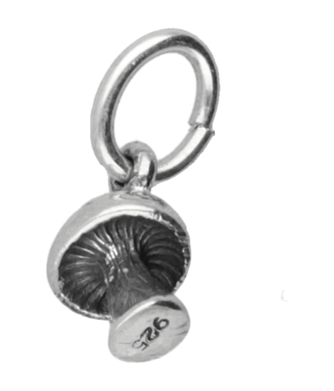 Zilveren Paddenstoel met stippen klein ketting hanger