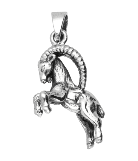 Zilveren Steenbok massief ketting hanger