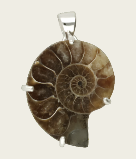 Silver Ammonite Fossilized Shell Negative Necklace Pendant