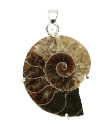 Silver Ammonite Fossilized Shell Negative Necklace Pendant