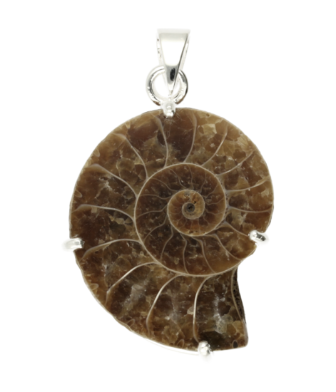Silver Ammonite Fossilized Shell Negative Necklace Pendant