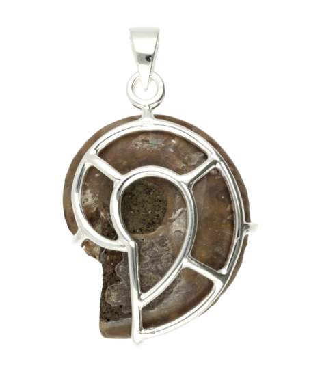Silver Ammonite Fossilized Shell Negative Necklace Pendant