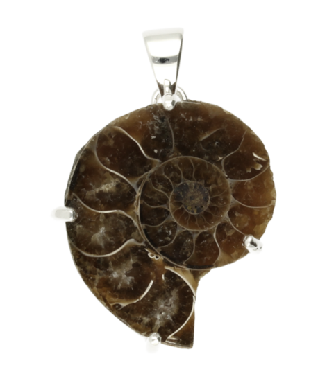 Silver Ammonite Fossilized Shell Negative Necklace Pendant