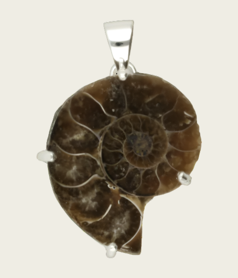 Silver Ammonite Fossilized Shell Negative Necklace Pendant