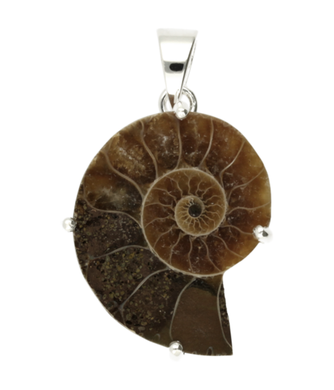 Silver Ammonite Fossilized Shell Negative Necklace Pendant