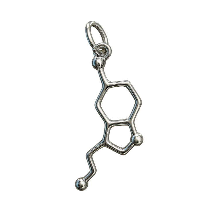 Zilveren Serotonine molecuul kettinghanger KHZ-5662