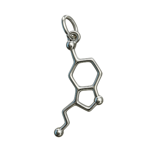 Zilveren Serotonine molecuul kettinghanger KHZ-5662