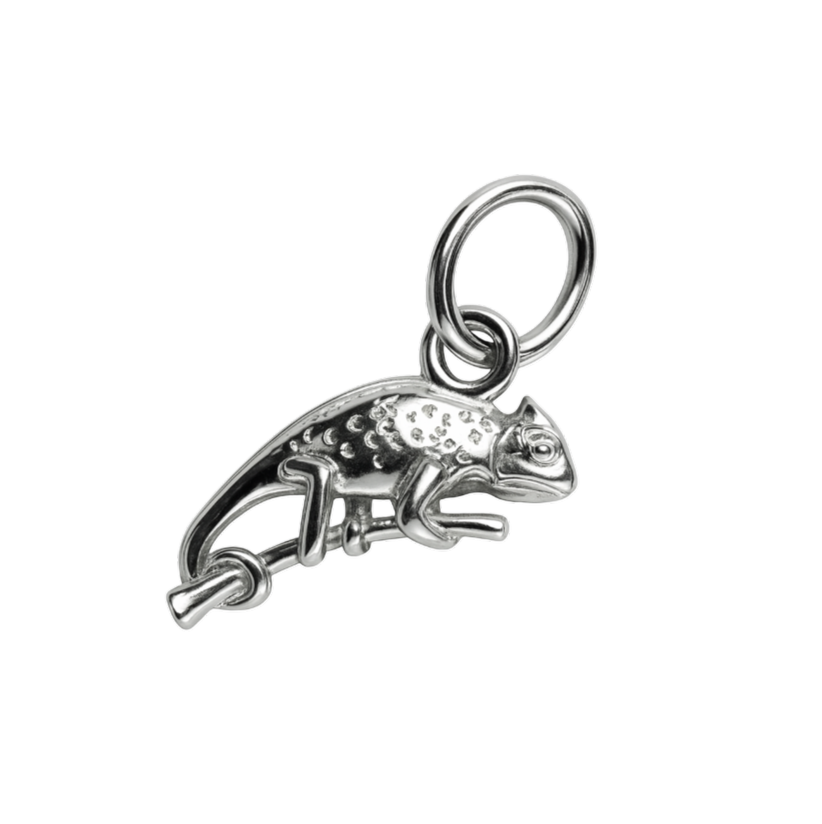 Zilveren Kameleon klein kettinghanger KHZ-5667