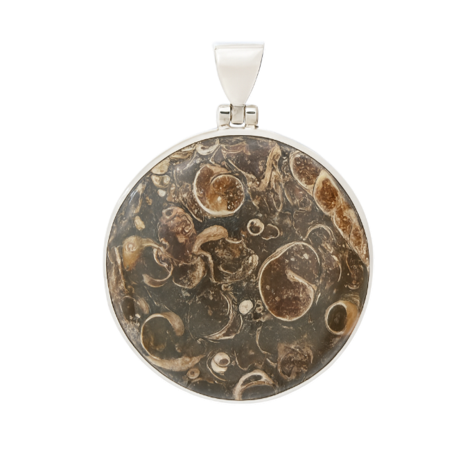 Zilveren fossiel Turritella Agaat rond groot kettinghanger