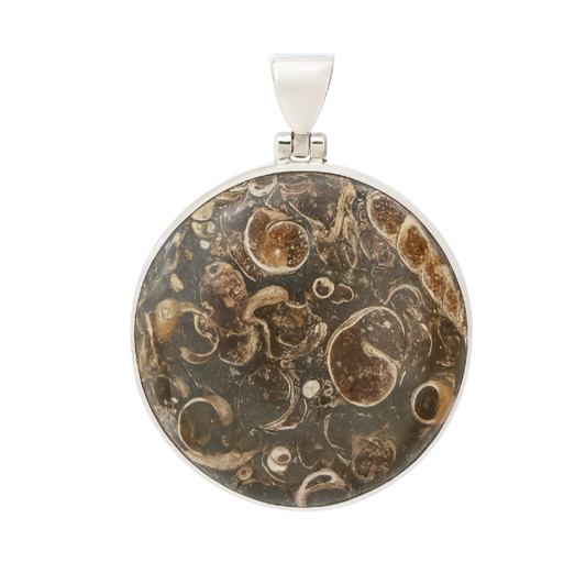 Zilveren fossiel Turritella Agaat rond groot kettinghanger