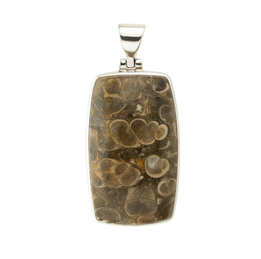Zilveren fossiel Turritella Agaat rechthoek groot kettinghanger
