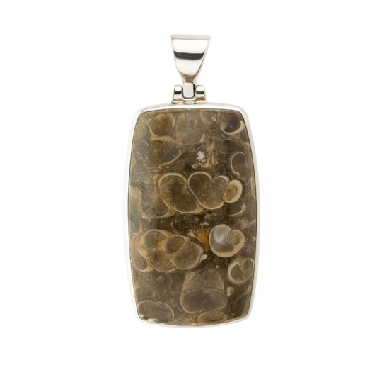 Zilveren fossiel Turritella Agaat rechthoek groot kettinghanger